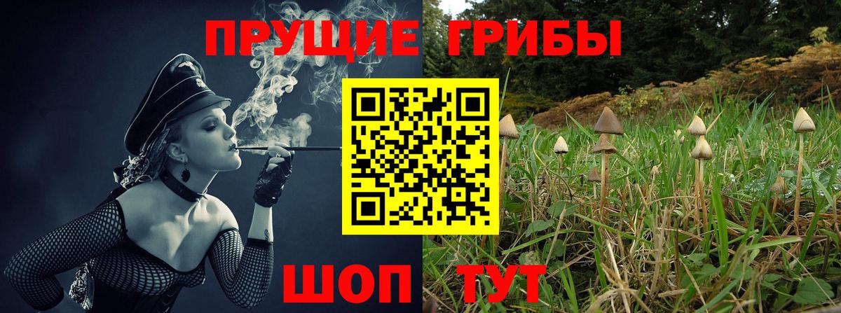 наркотики  Вход с VPN  Славгород  Галлюциногенные грибы мицелий 